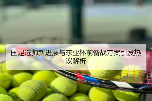 国足选帅新进展与东亚杯前备战方案引发热议解析